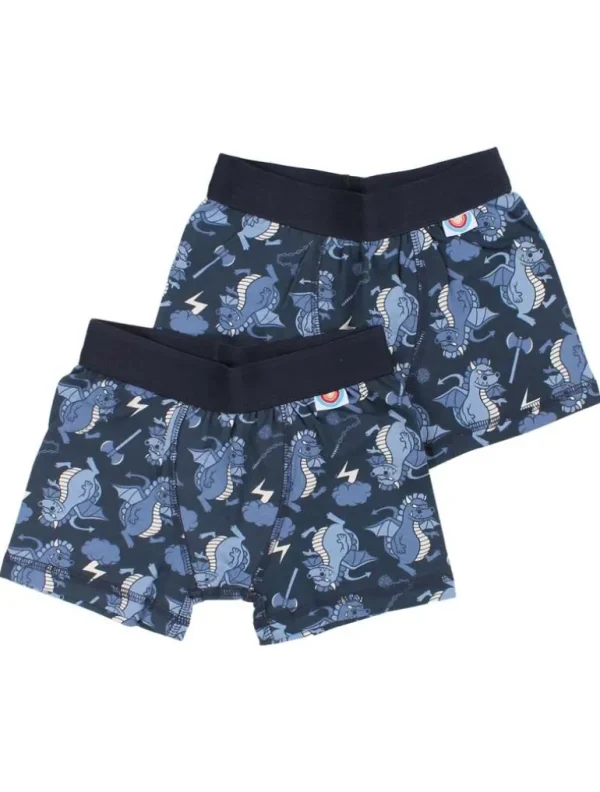 Danefæ BIFROST - 2Pak Underwear Boys Blue Tone DRAGONS | Børn Undertøj | Undertøj
