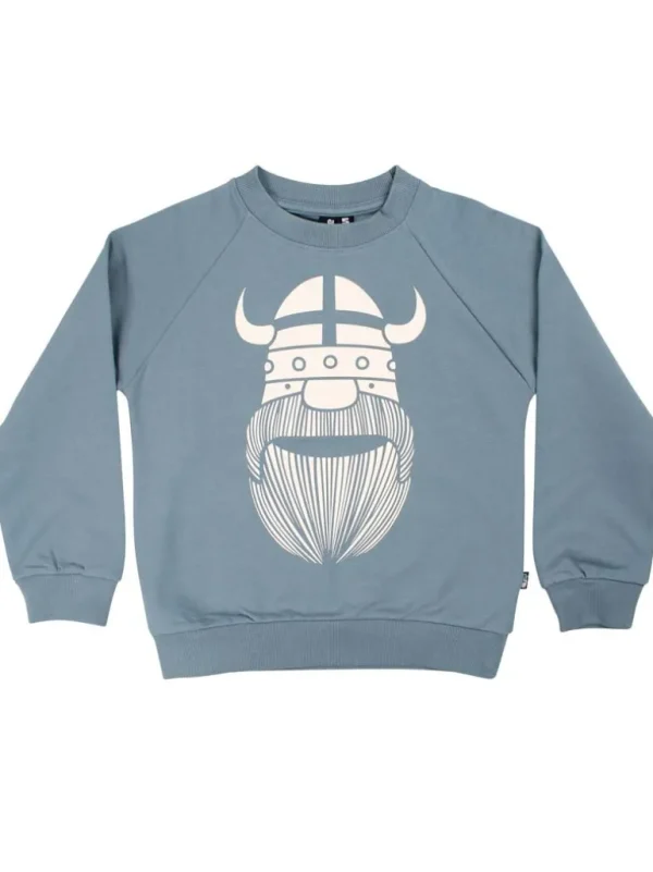 Danefæ Danamerika Sweat Blue Grey ERIK | Børn Sweatshirts