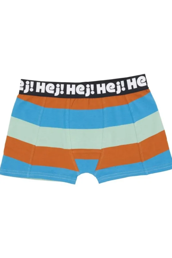 Danefæ Danethorbjoern Boxer | Boksershorts