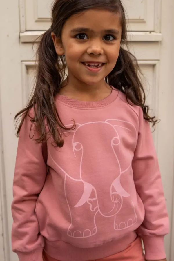 Danefæ Dyrbellow Sweat Antique Rose OUTLINE ELEFANT | Børn Sweatshirts
