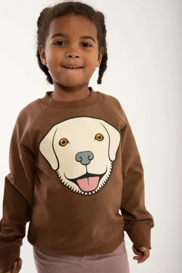 Danefæ Dyrbellow Sweat Brown Beige RETRIEVER | Børn Sweatshirts