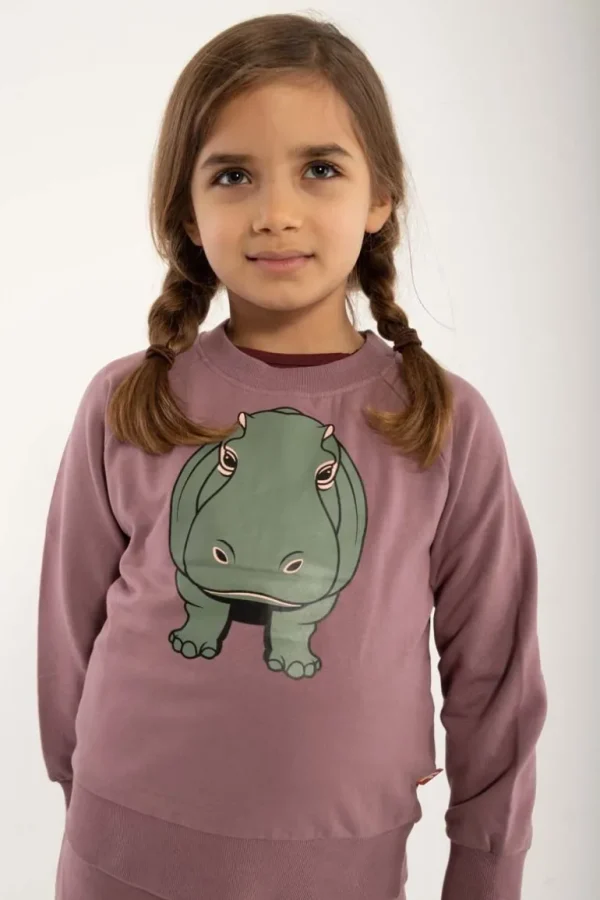 Danefæ Dyrbellow Sweat Din Ven Clay Viola FLODHEST | Børn Sweatshirts