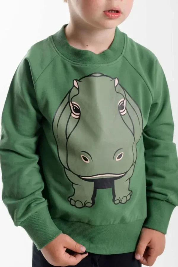 Danefæ Dyrbellow Sweat Din Ven Rover Khaki FLODHEST | Børn Sweatshirts