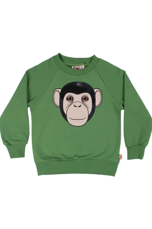 Danefæ Dyrbellow Sweat Fall Jungle CHIMP | Børn Sweatshirts