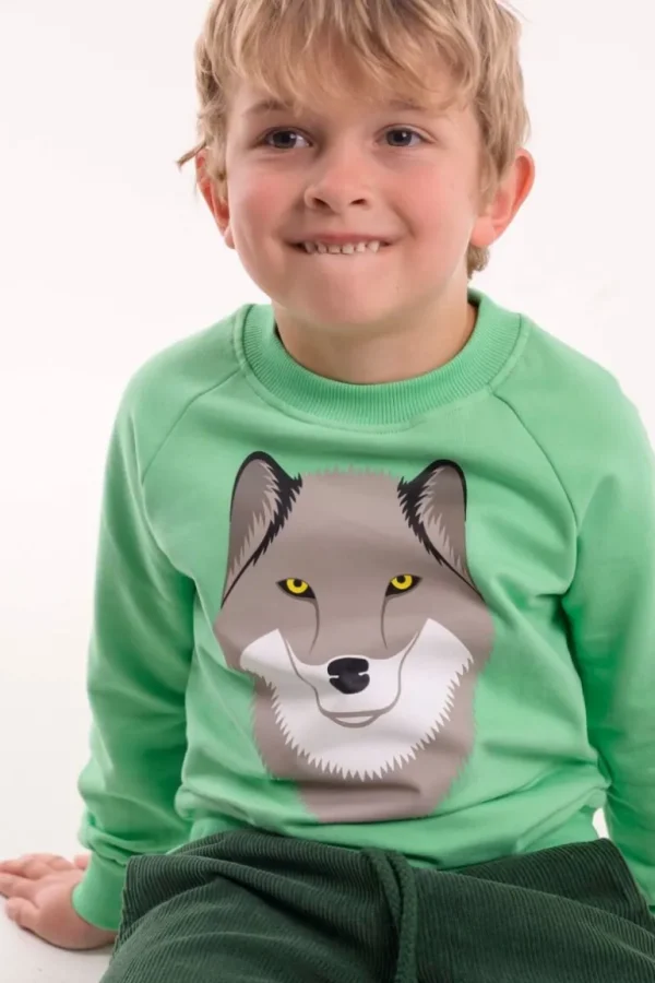 Danefæ Dyrbellow Sweat Fresh Pea ULV | Børn Sweatshirts