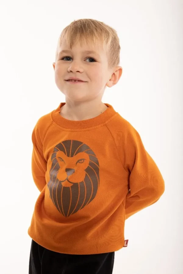 Danefæ Dyrbellow Sweat Honey LOEVE | Børn Sweatshirts