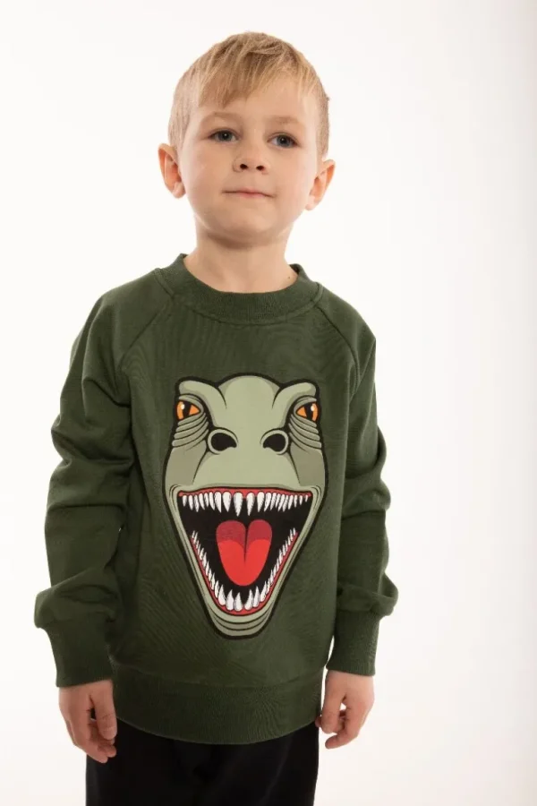 Danefæ Dyrbellow Sweat NOOS Dk Safari T-REX | Børn Sweatshirts