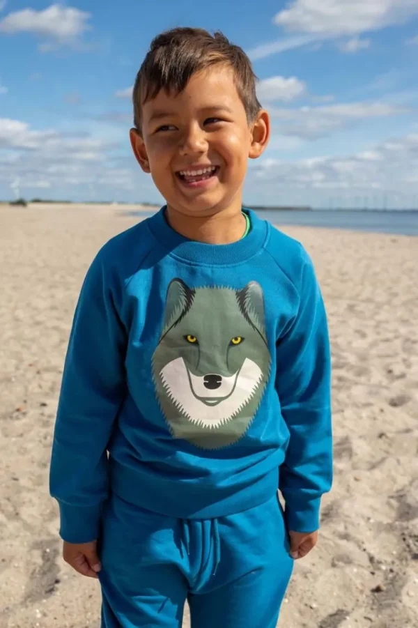 Danefæ Dyrbellow Sweat NOOS Dusty Blue ULV | Børn Sweatshirts