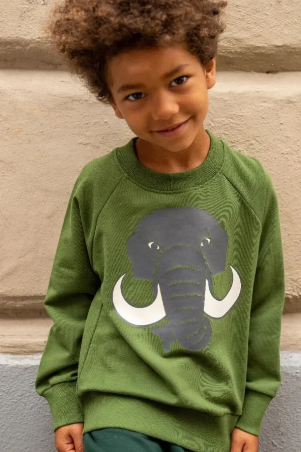 Danefæ Dyrbellow Sweat NOOS Safari MAMMUT | Børn Sweatshirts