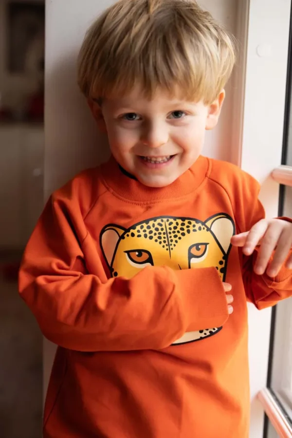 Danefæ Dyrbellow Sweat Pumpkin GEROPARD | Børn Sweatshirts