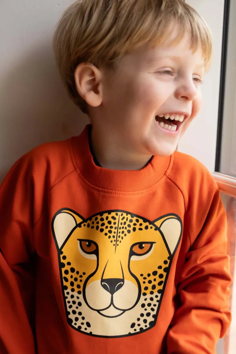 Danefæ Dyrbellow Sweat Pumpkin GEROPARD | Børn Sweatshirts