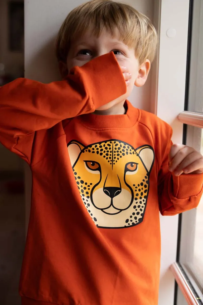 Danefæ Dyrbellow Sweat Pumpkin GEROPARD | Børn Sweatshirts