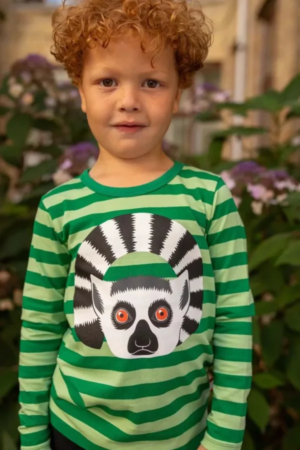 Danefæ Dyrroar T AOP/STRIB Grass Green/Dusty Green KATTALEMUR | Børn Bluser