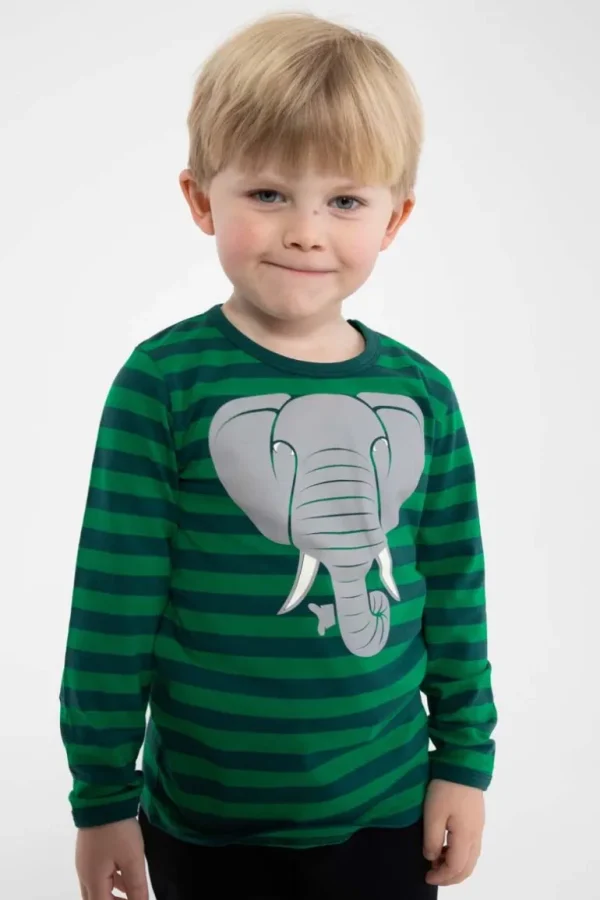 Danefæ Dyrroar T AOP/STRIB Green/Dark Duck ELEFANT | Børn Bluser