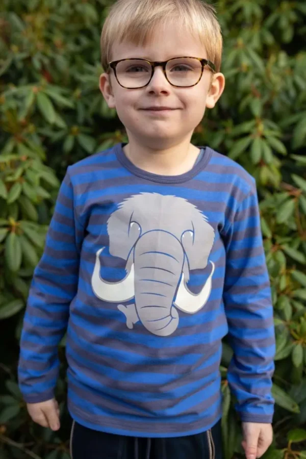 Danefæ Dyrroar T AOP/STRIB Grey Marine/Royal Blue MAMMUT | Børn Bluser