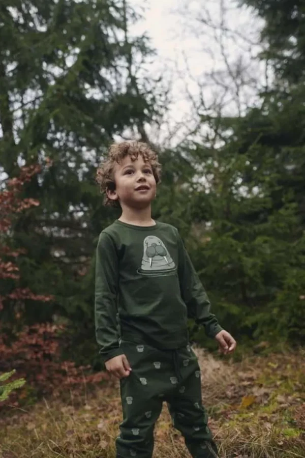 Danefæ Dyrroar T DK Safari HVALROS | Børn Bluser