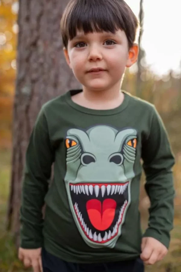 Danefæ Dyrroar T Dk Safari T-REX | Børn Bluser