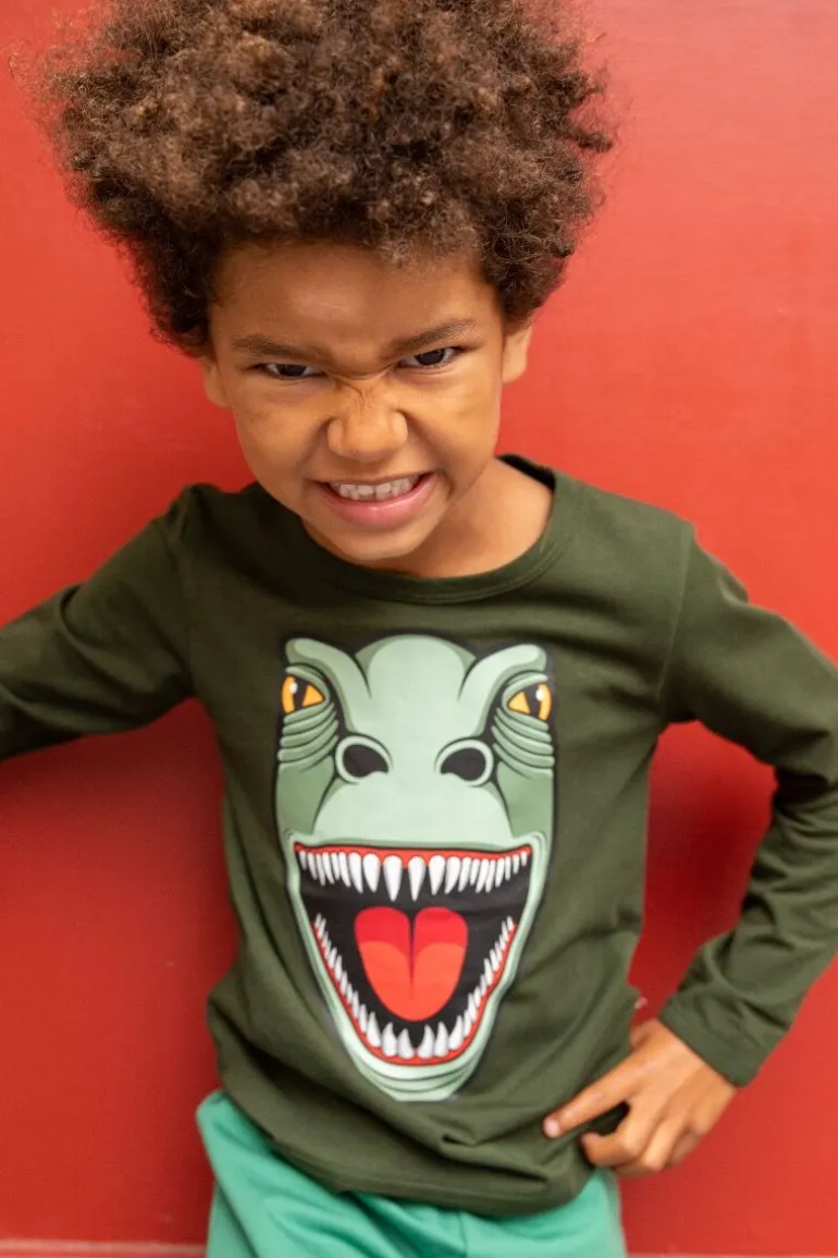 Danefæ Dyrroar T Dk Safari T-REX | Børn Bluser
