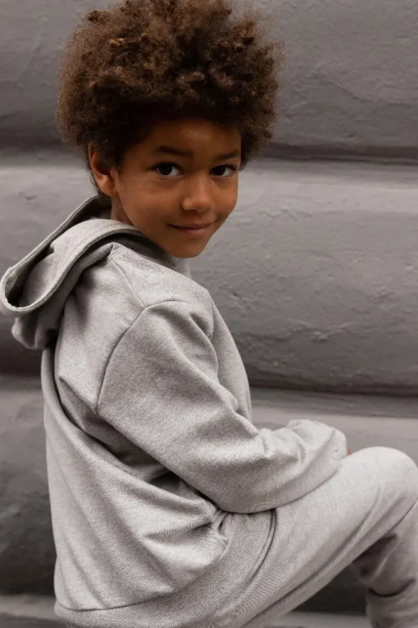 Danefæ ESS - ORGANIC Danefruit Hoodie Heather Grey | Børn Sweatshirts