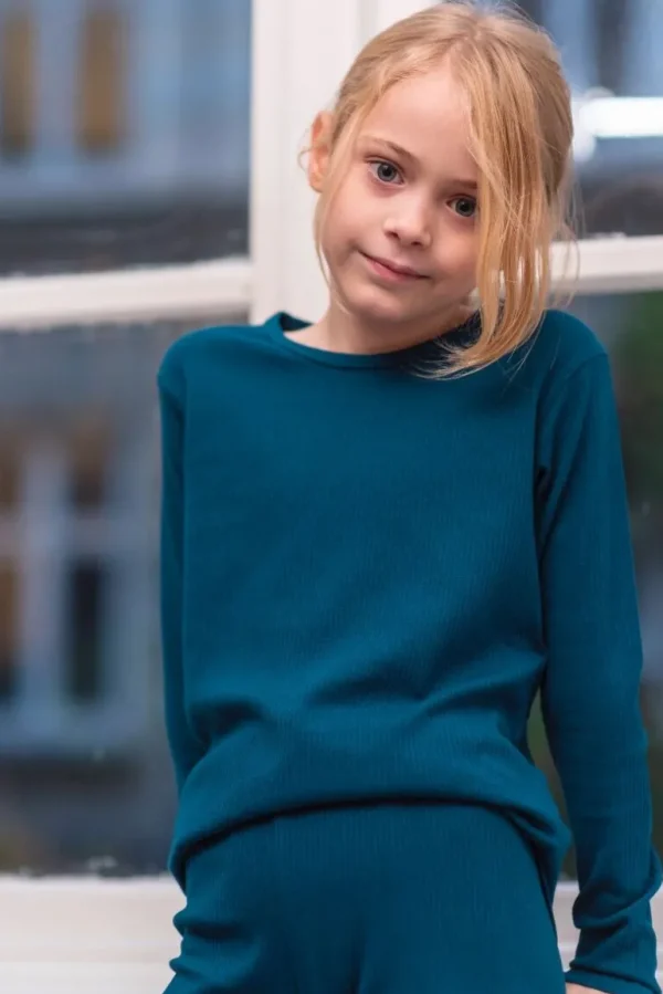 Danefæ ESS - ORGANIC Danelemonade LS Stone Blue | Børn Bluser