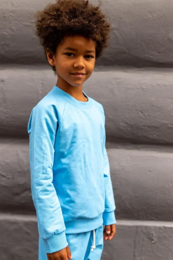 Danefæ ESS - ORGANIC Danemineral Sweater Baby blue | Børn Sweatshirts