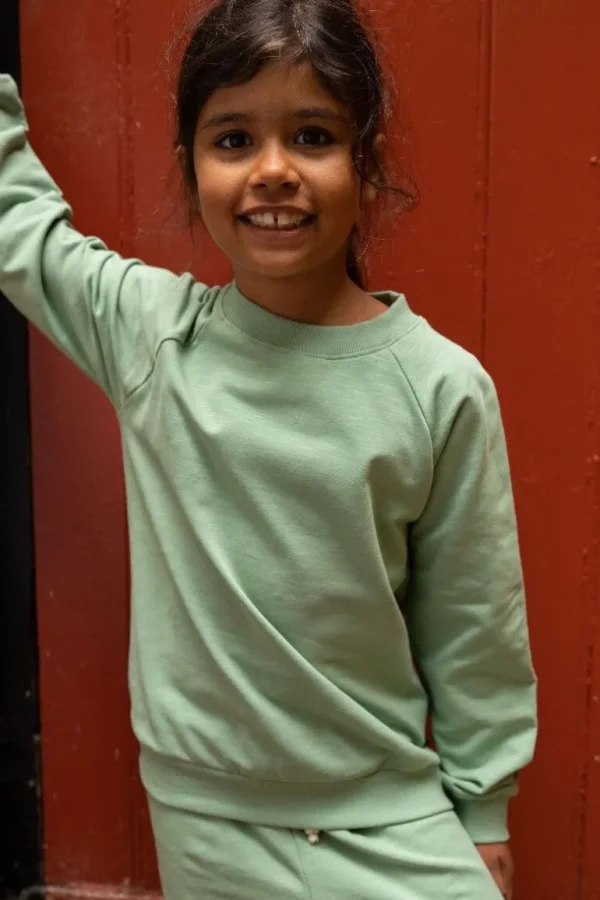 Danefæ ESS - ORGANIC Danemineral Sweater Dry Sage | Børn Sweatshirts