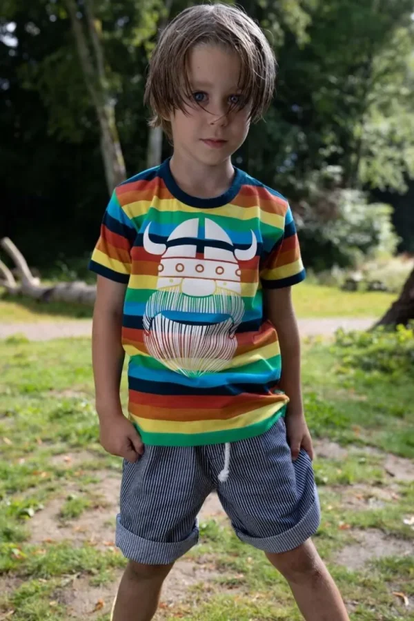 Danefæ ORGANIC - Danechives tee Arcenciel ERIK | Børn T-shirts