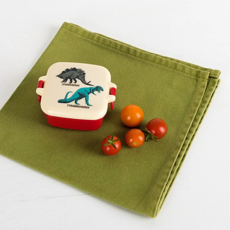 Danefæ RL Snack Pot Prehistoric Land | Børn Drikkedunke Og Madkasser